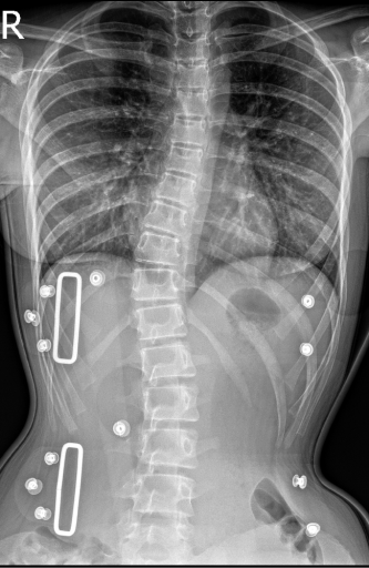 2025 12 11 10 06 47 png