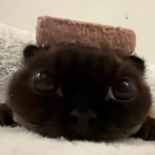 2025 11 15 23 53 48 png