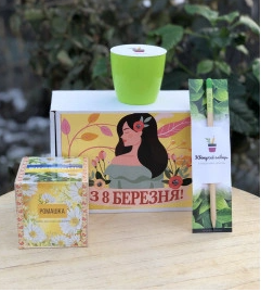 2026 02 24 11 42 58 png