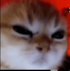 2025 12 01 17 10 38 png