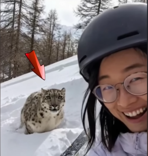 2026 04 13 07 48 17 png