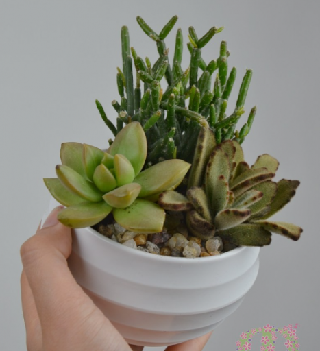 2026 03 11 12 06 51 png