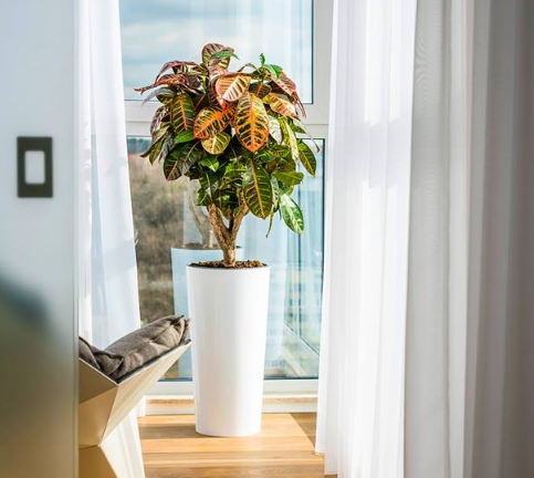 2026 03 09 10 48 59 png