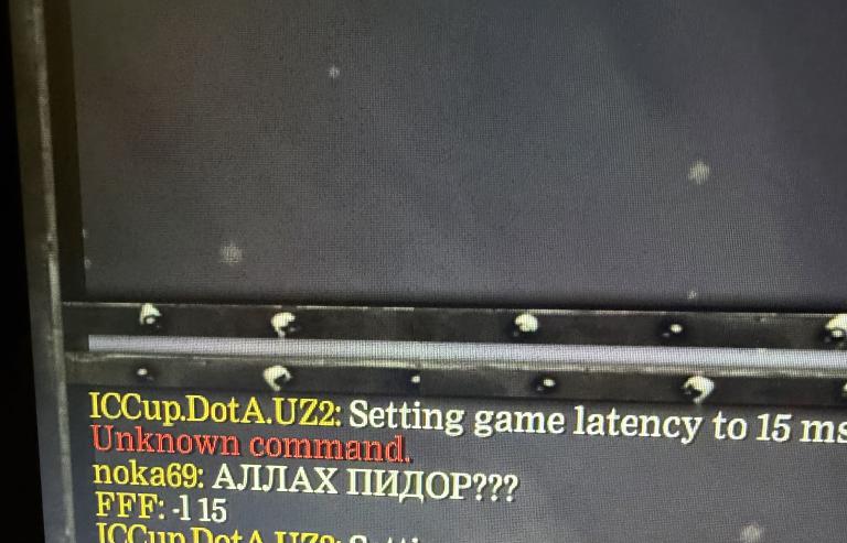 IMG 3357 jpeg