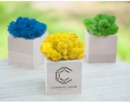 2026 02 24 11 24 39 png