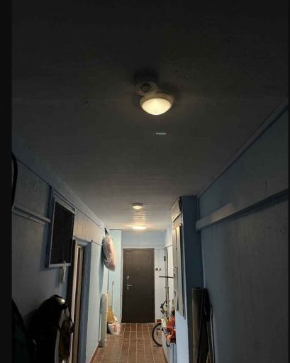2025 07 31 18 52 23 png