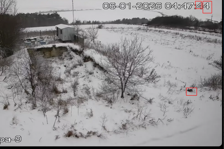 2026 01 06 05 47 55 png