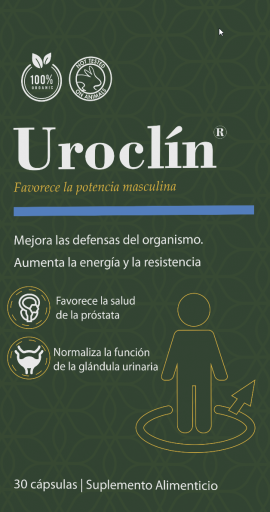 2026 01 29 10 14 24 png