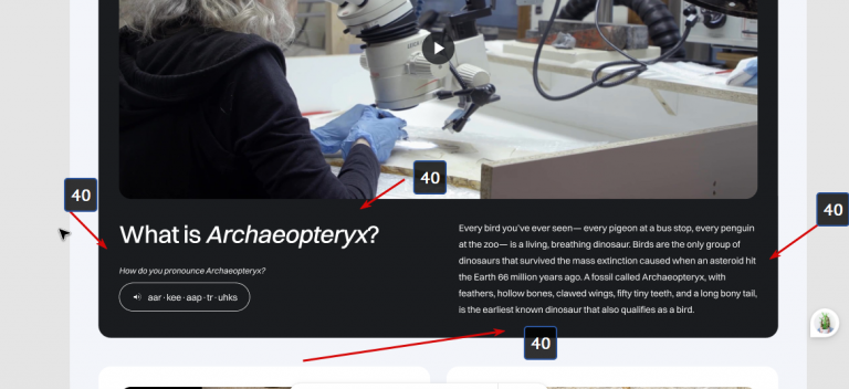 2025 10 26 02 09 23 png