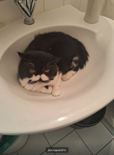 2026 04 05 02 45 17 png