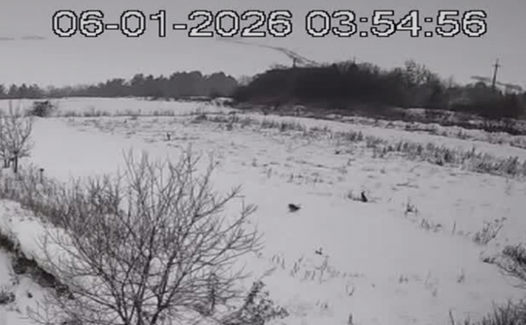 2026 01 06 04 55 07 png