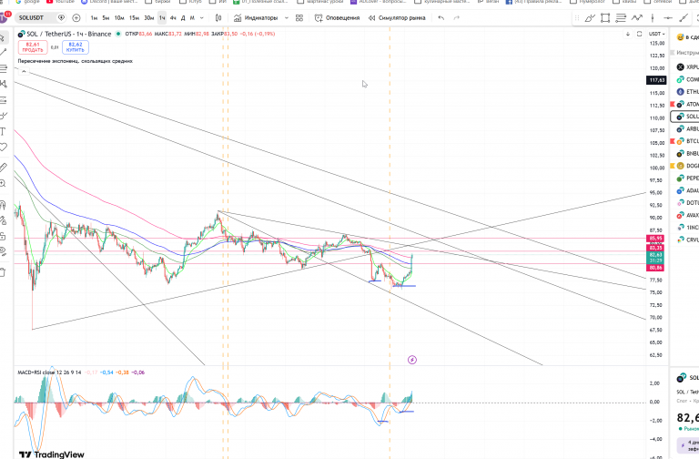 2026 02 25 05 28 39 png