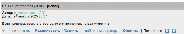 2025 08 24 21 38 40 png