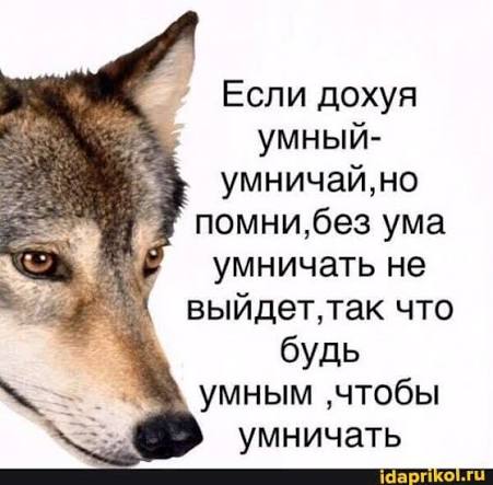 images  85  jpeg