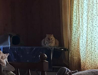 2025 11 19 13 08 26 png