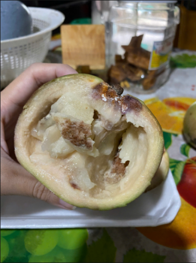 2025 11 24 13 43 52 png