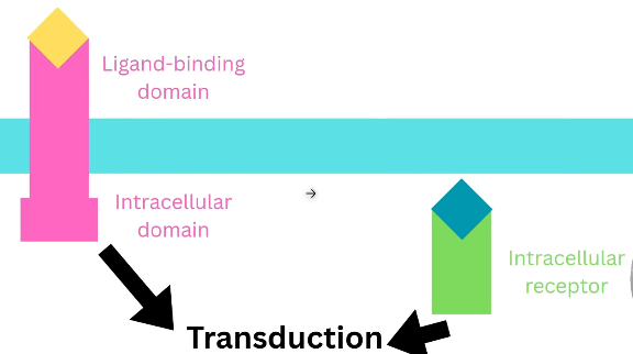 2026 04 26 19 11 24 png