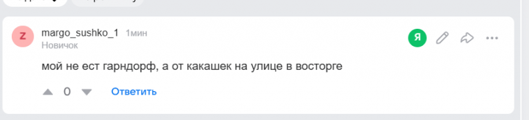 2025 12 12 17 15 28 png