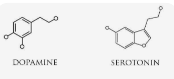 2026 04 11 21 17 31 png