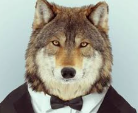 2026 03 28 12 15 59 png