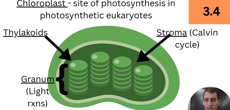 2026 04 26 18 21 31 png