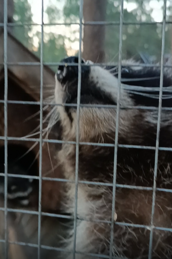 2026 03 21 23 59 49 png