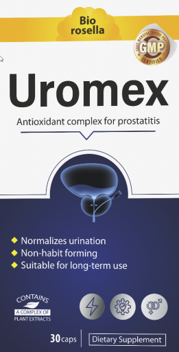 2026 03 12 15 28 27 png