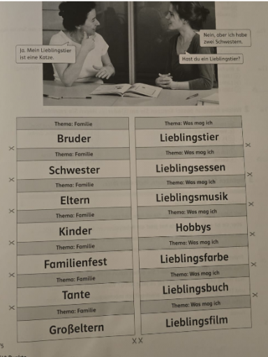 2026 01 27 12 08 02 png