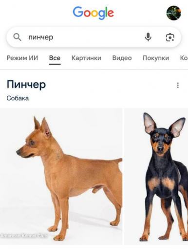 2025 10 23 16 10 23 png