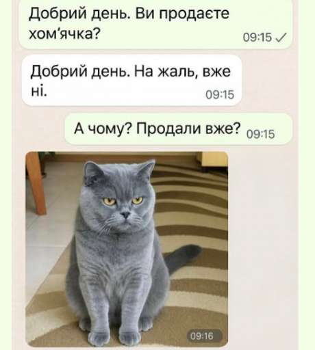2025 05 27 22 01 09 png