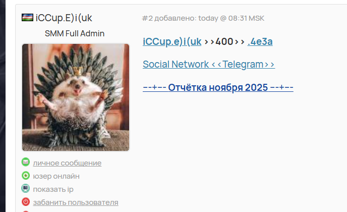 2025 11 24 09 34 50 png