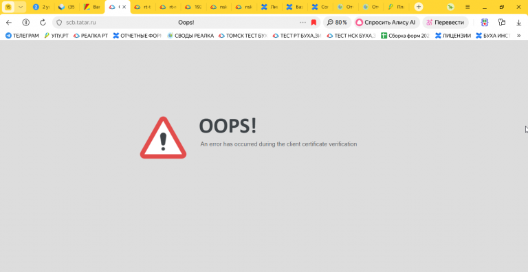 2026 01 16 11 17 34 png