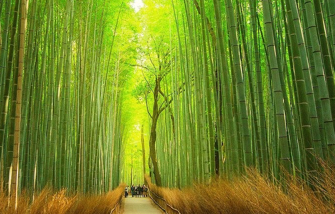 2025 10 31 13 50 41 png