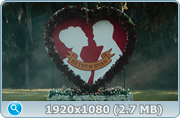 thumb e17362a36a8168925ddb3d0228ea84f0 png