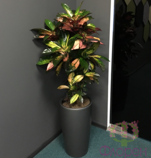 2026 03 13 12 04 11 png