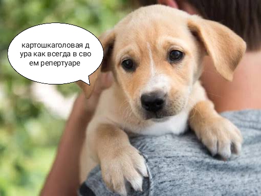 IMG 20260121 164216 jpg