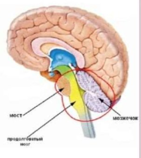 2026 04 09 11 01 07 png