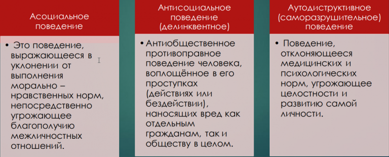 2025 12 12 21 49 36 png