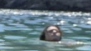 2026 09 26 20 47 22 png
