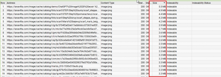 2026 01 30 17 14 00 png