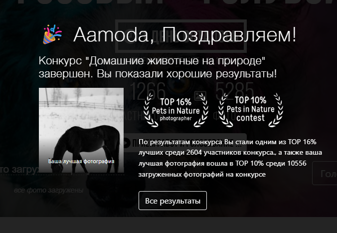 2025 11 23 10 55 51 png