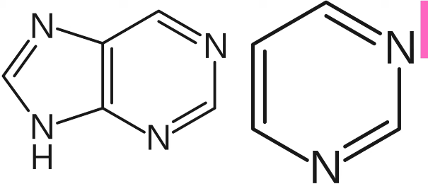 2026 04 27 20 12 24 png