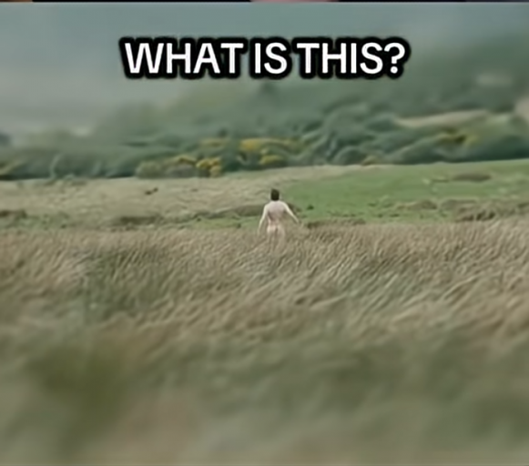 2025 12 07 18 02 27 png