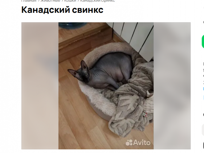 2025 08 19 11 28 22 png