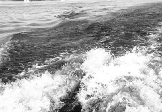 2025 12 02 12 48 31 png