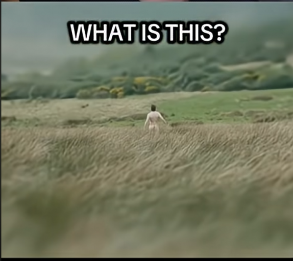 2025 12 07 18 02 49 png