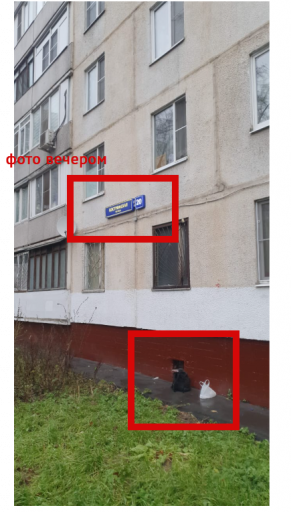 2025 11 26 09 18 07 png