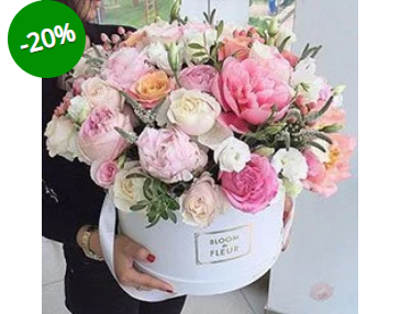 2026 04 24 11 44 03 png