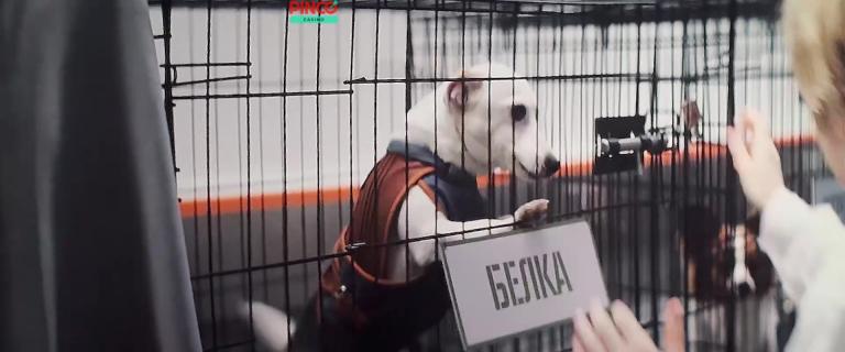 vlcsnap 2026 04 15 22h36m36s334 jpg