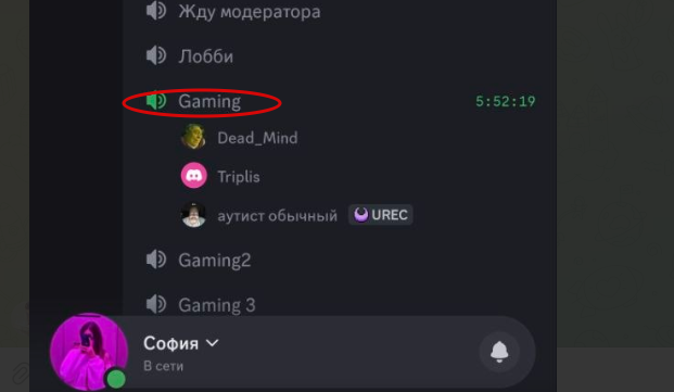 2026 06 29 04 06 58 png
